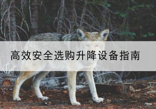 沅江升降货梯厂家推荐-*安全选购升降设备指南