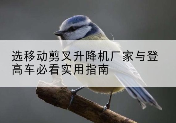 沅江电动升降机厂家-选移动剪叉升降机厂家与登高车必看实用指南